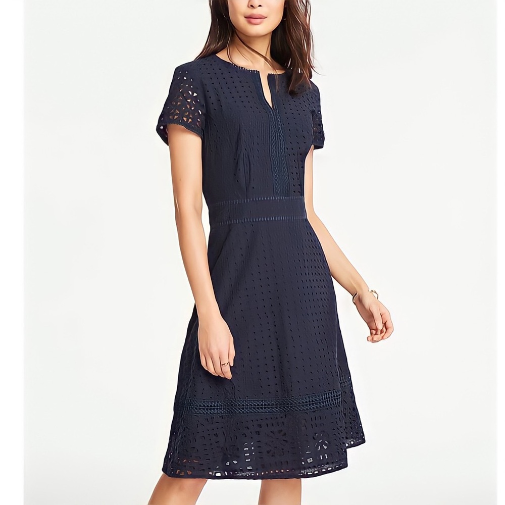 🆕NWT Ann Taylor Mixed Eyelet Flare Dress